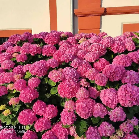 度假居 Les Hortensias Aigrefeuille