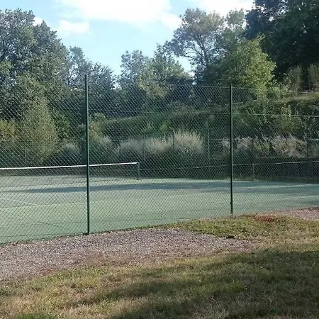 Les Hortensias * Aigrefeuille