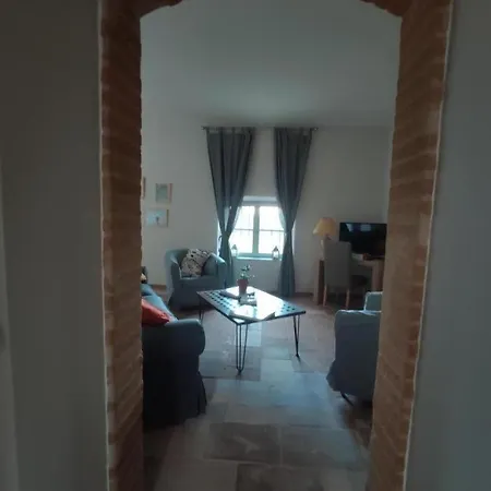 Les Hortensias * Aigrefeuille