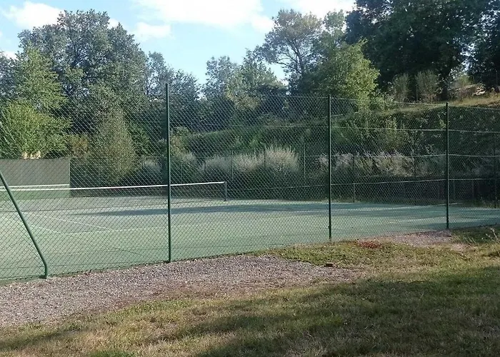 Les Hortensias * Aigrefeuille